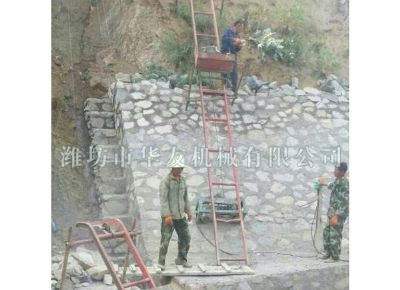 點(diǎn)擊查看詳細(xì)信息<br>標(biāo)題：華友機(jī)械建筑用爬山虎 閱讀次數(shù)：5493